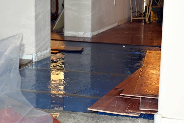 Professional Water Damage Restoration technician working in Caro, MI